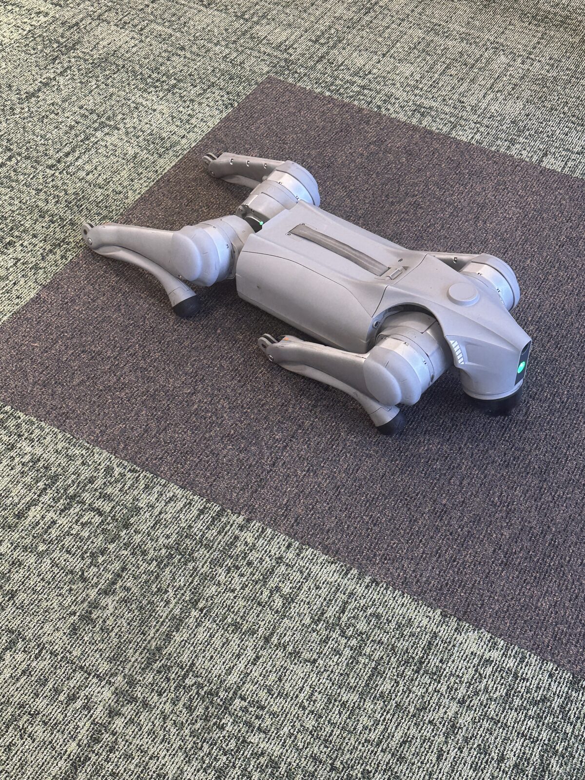 Robot cuadrúpedo en espacio educativo